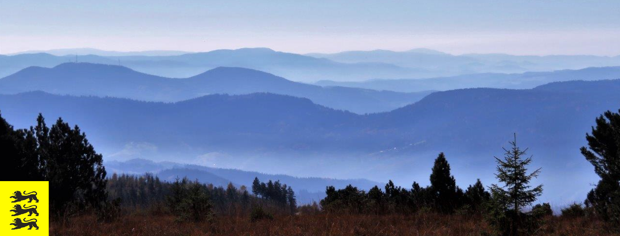 © Sprißler | Schwarzwald