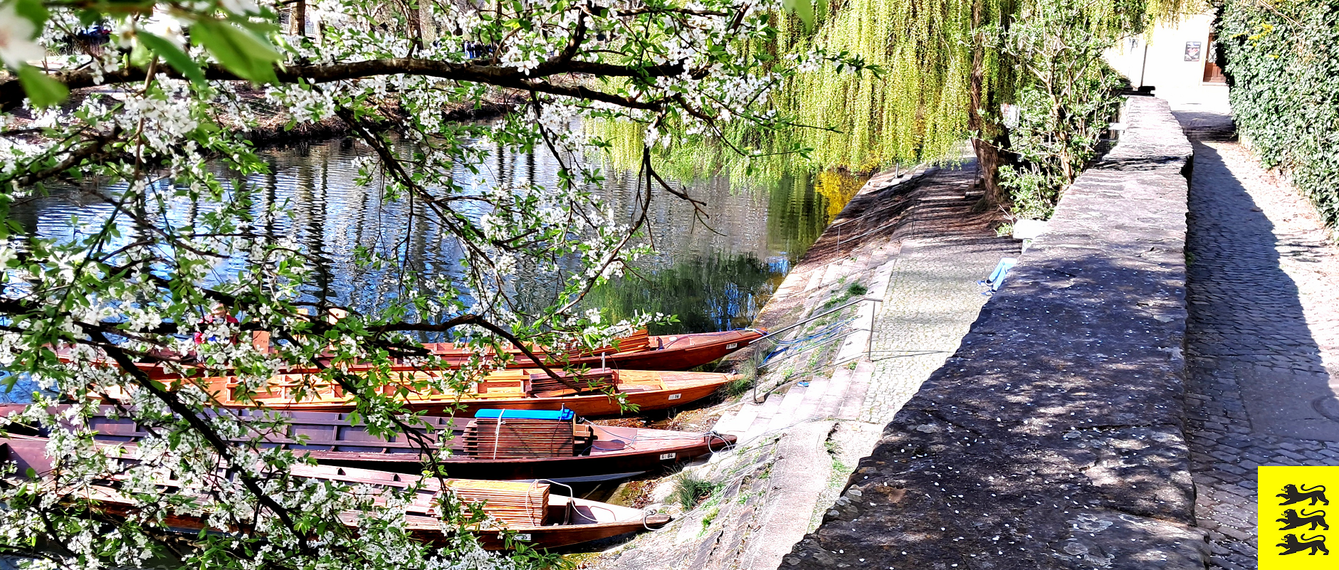 © Sprißler | Stocherkähne beim Hölderlinturm