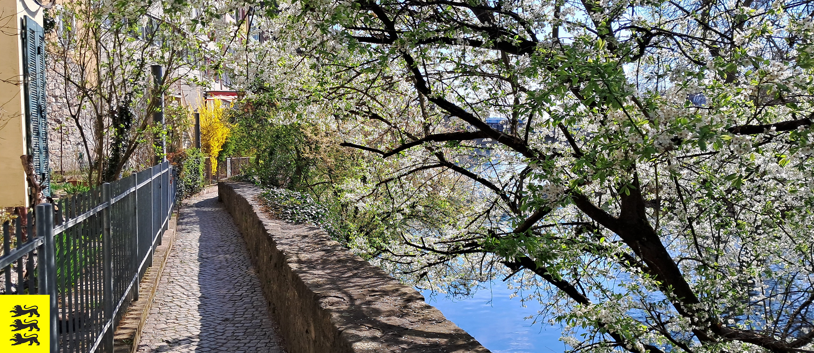 © Sprißler | Neckarmauerweg