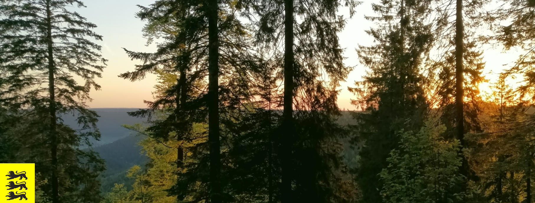 © Sprißler | Schwarzwald