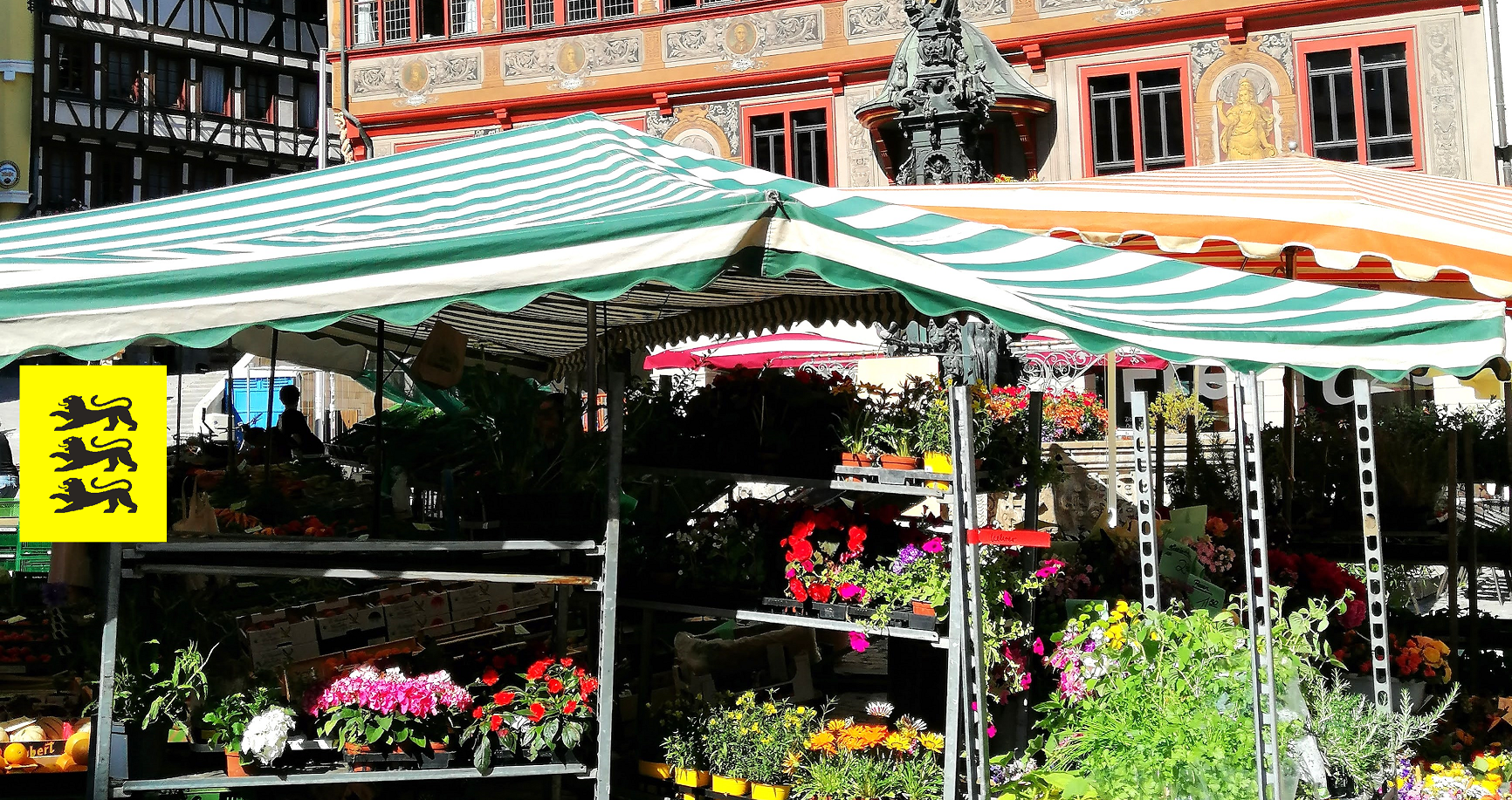 © Sprißler | Wochenmarkt vor dem Rathaus
